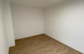 Drevostavba na mieru v Plzni